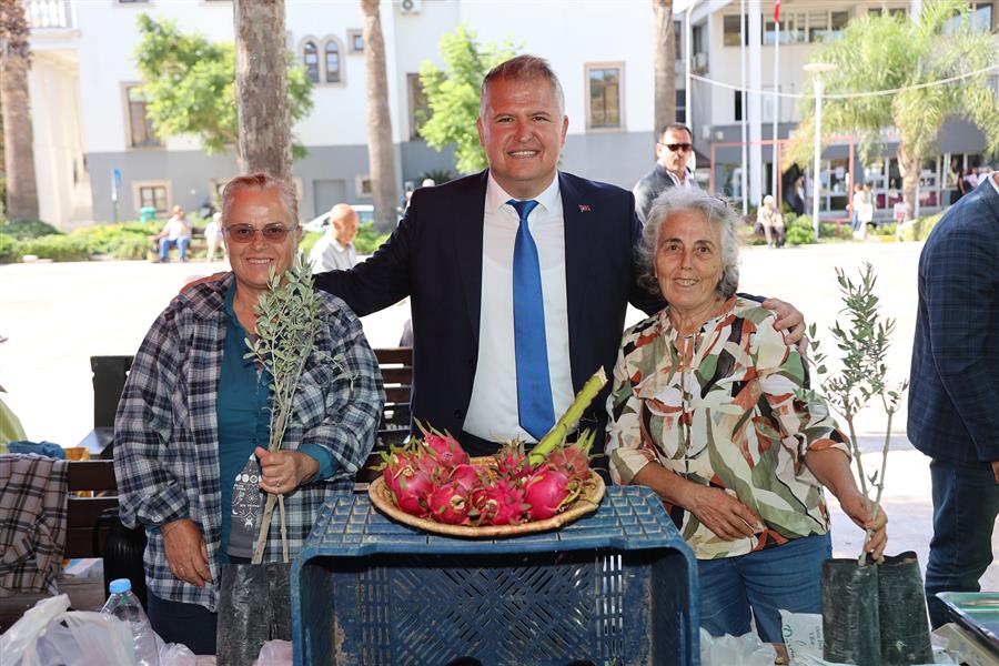 Üreticilere Zeytin Fidanı dağıtıldı